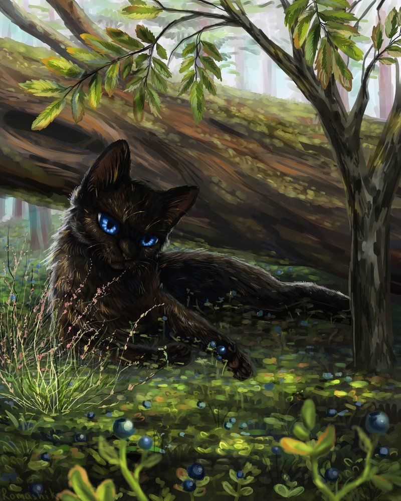 800x1000  Бурая кошка в лесу - 70 фото