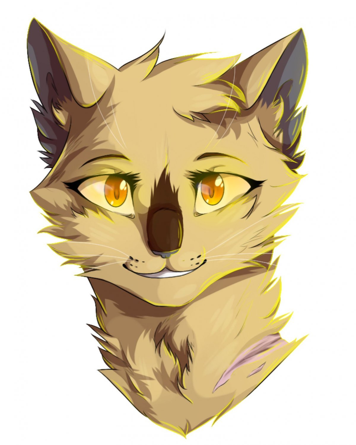 1200x1500  Коты воители арты на аву - 32 фото