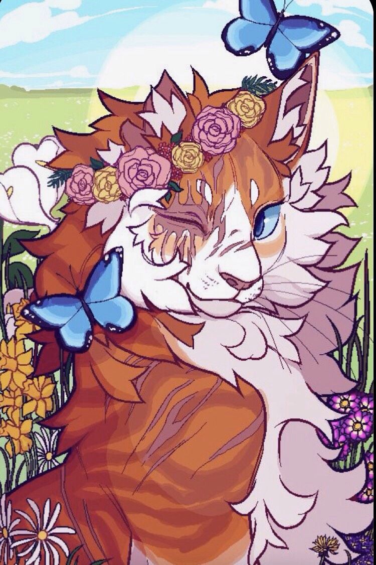 750x1126  Коты воители арты — Трикки — тесты для девочек