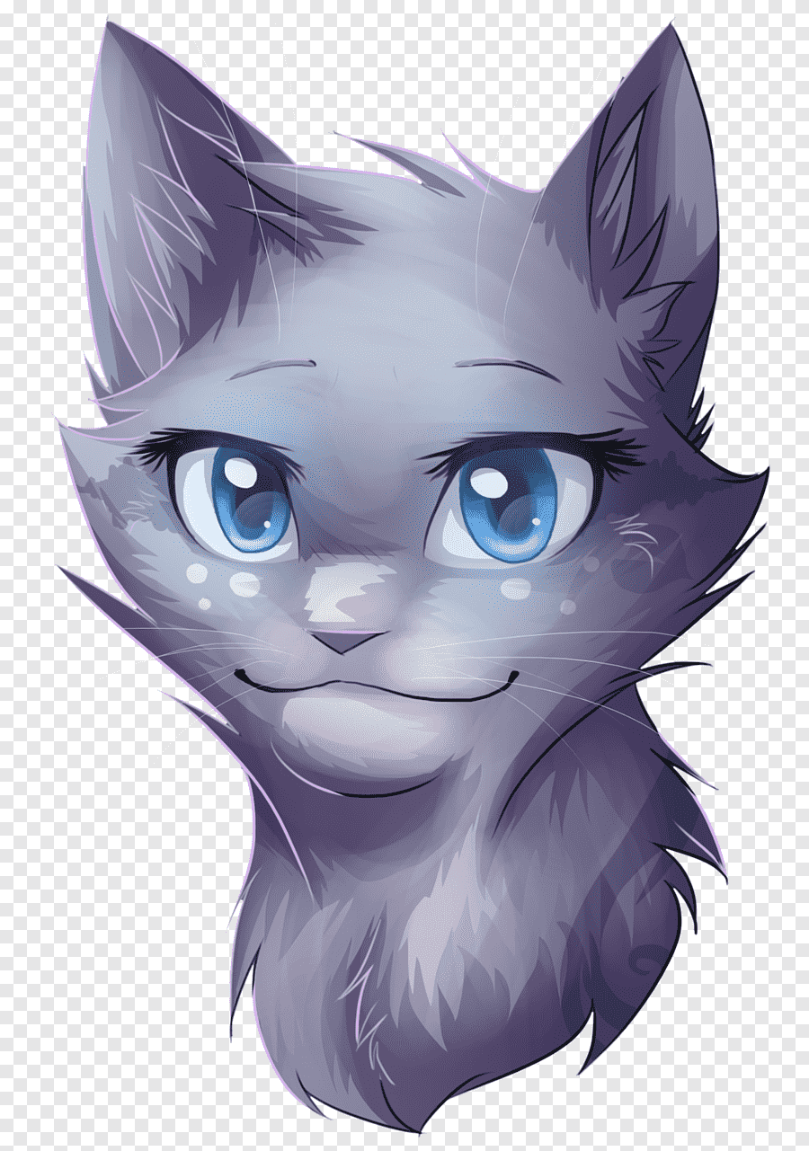 900x1281  Коты Воители аниме - 63 фото