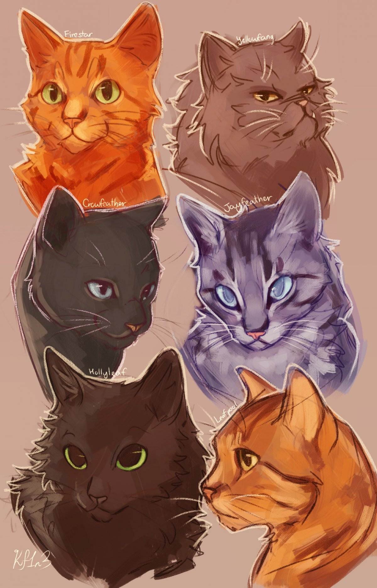 1200x1871  Обои на телефон коты воители - 67 фото