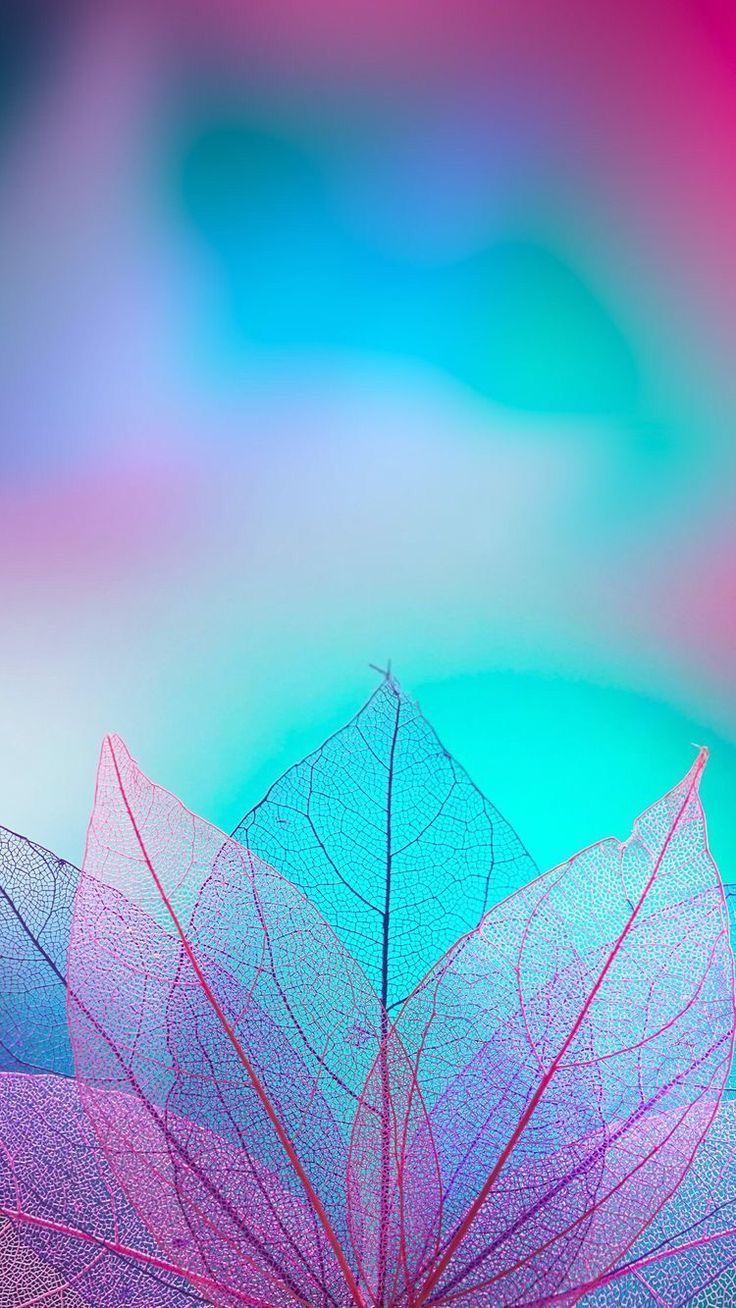 736x1308  Фон листья | Фиолетовые фоны, Обои фоны, Листья