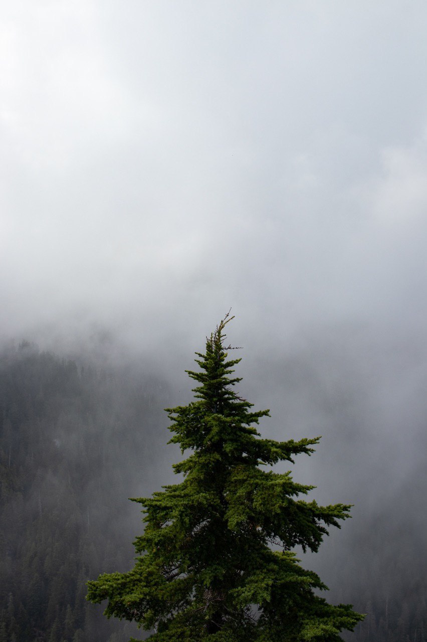 852x1280  Красивые фото для обоев на телефон | Пикабу