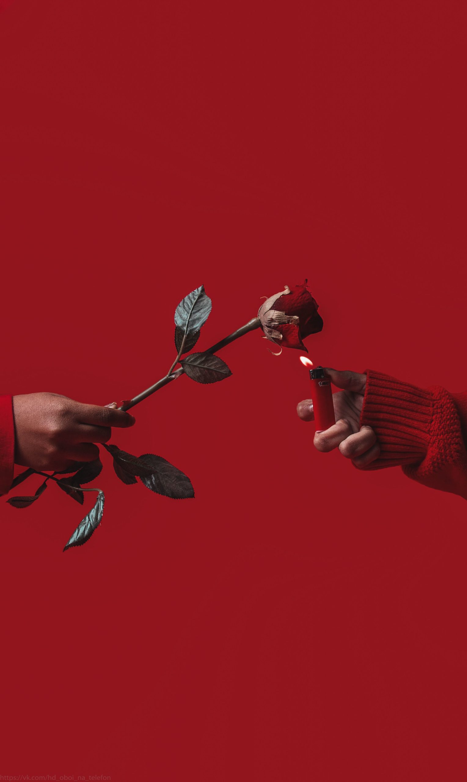 1529x2560  Красные обои на телефон (45 фото)