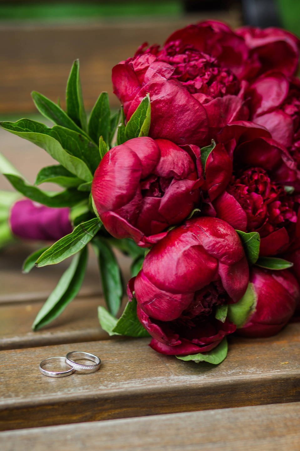 959x1440  Красные пионы обои - 64 фото