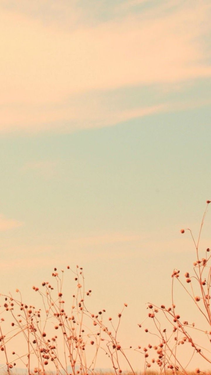 720x1280  Фон бежевый для инстаграмма - 78 фото