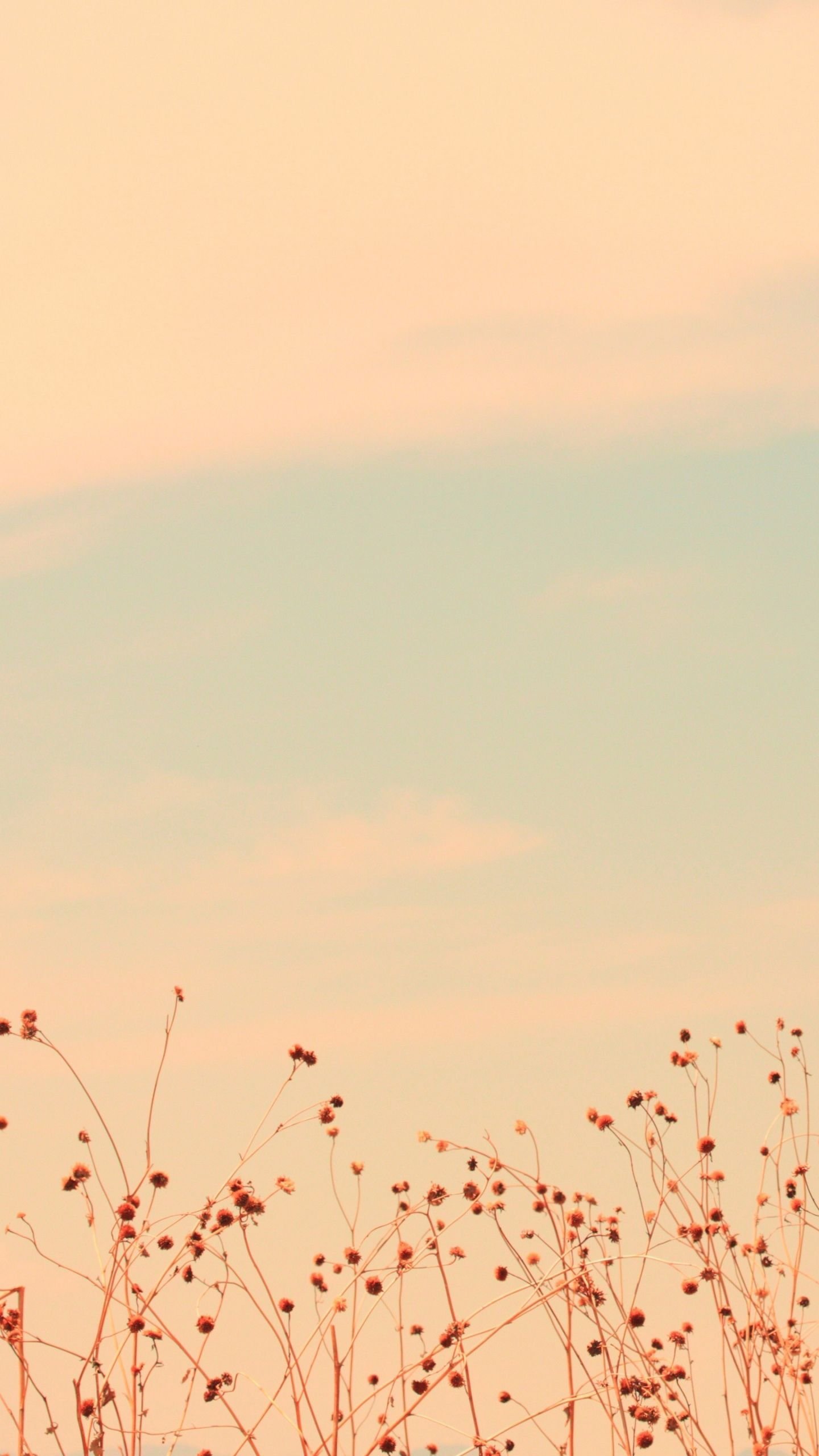 1440x2560  Интересные бежевые обои на телефон | Zamanilka