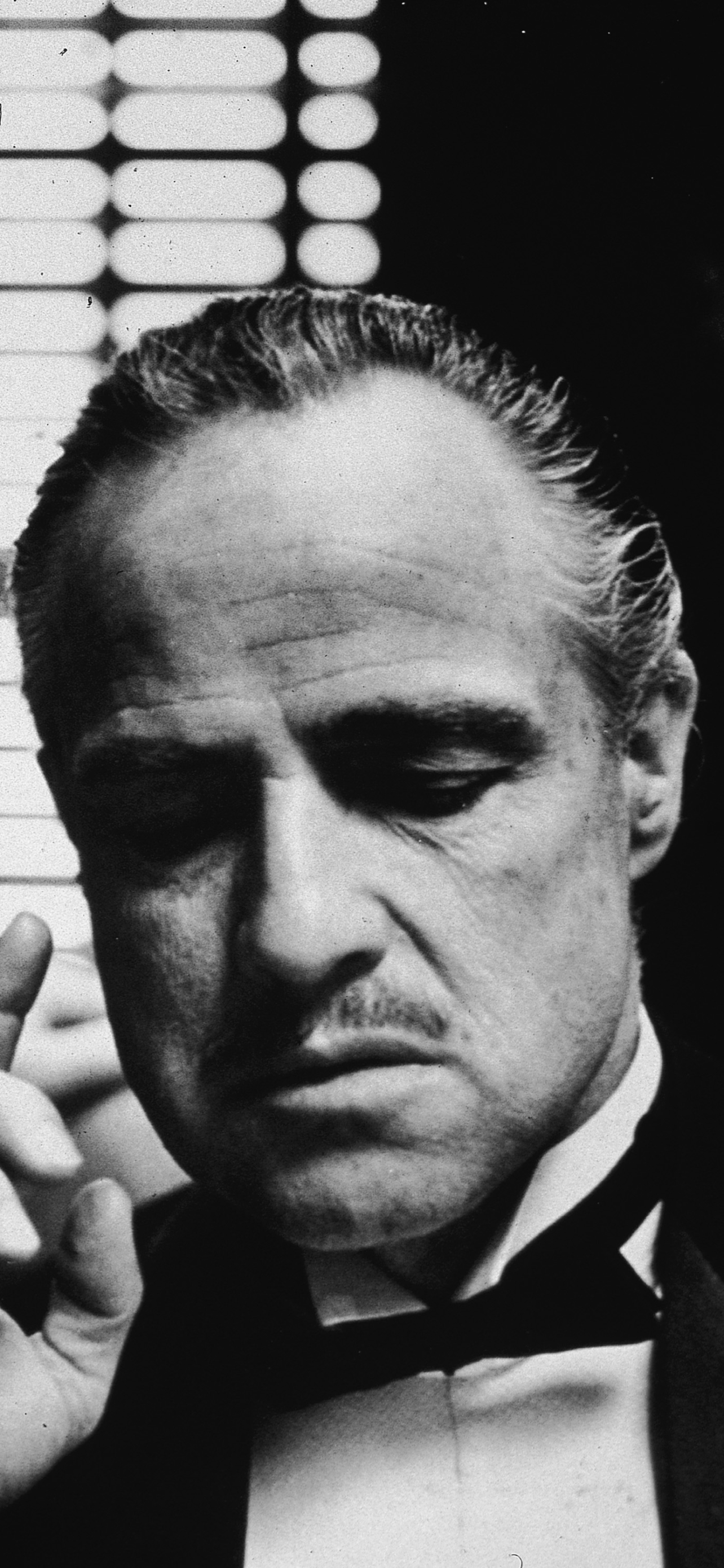 1284x2778  Скачать обои \"Марлон Брандо\" на телефон в высоком качестве, вертикальные  картинки \"Марлон Брандо\" бесплатно