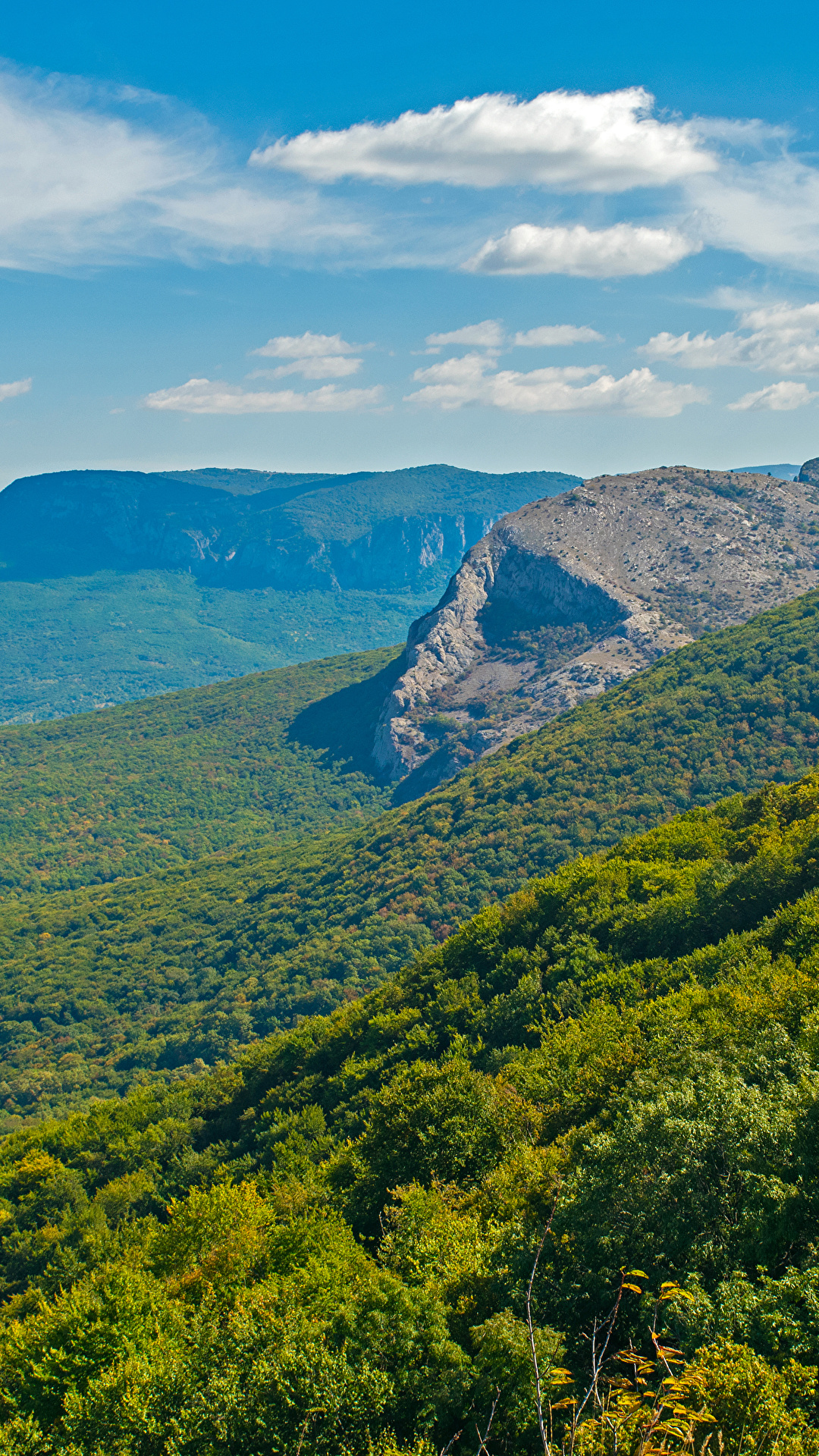1080x1920  Фотография Крым Россия Горы Природа лес Пейзаж 1080x1920