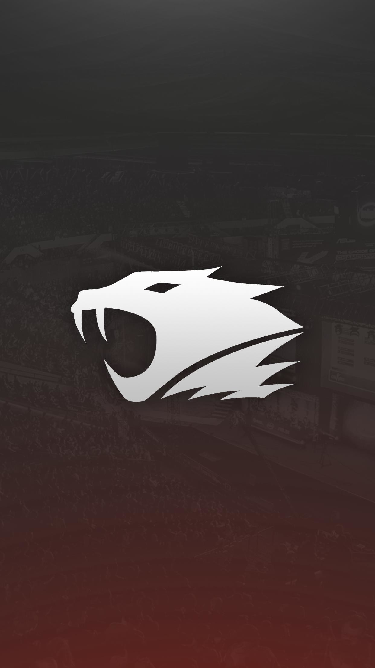 1242x2208  26+ КС ГО обои на телефон от sitnikova.innokentij