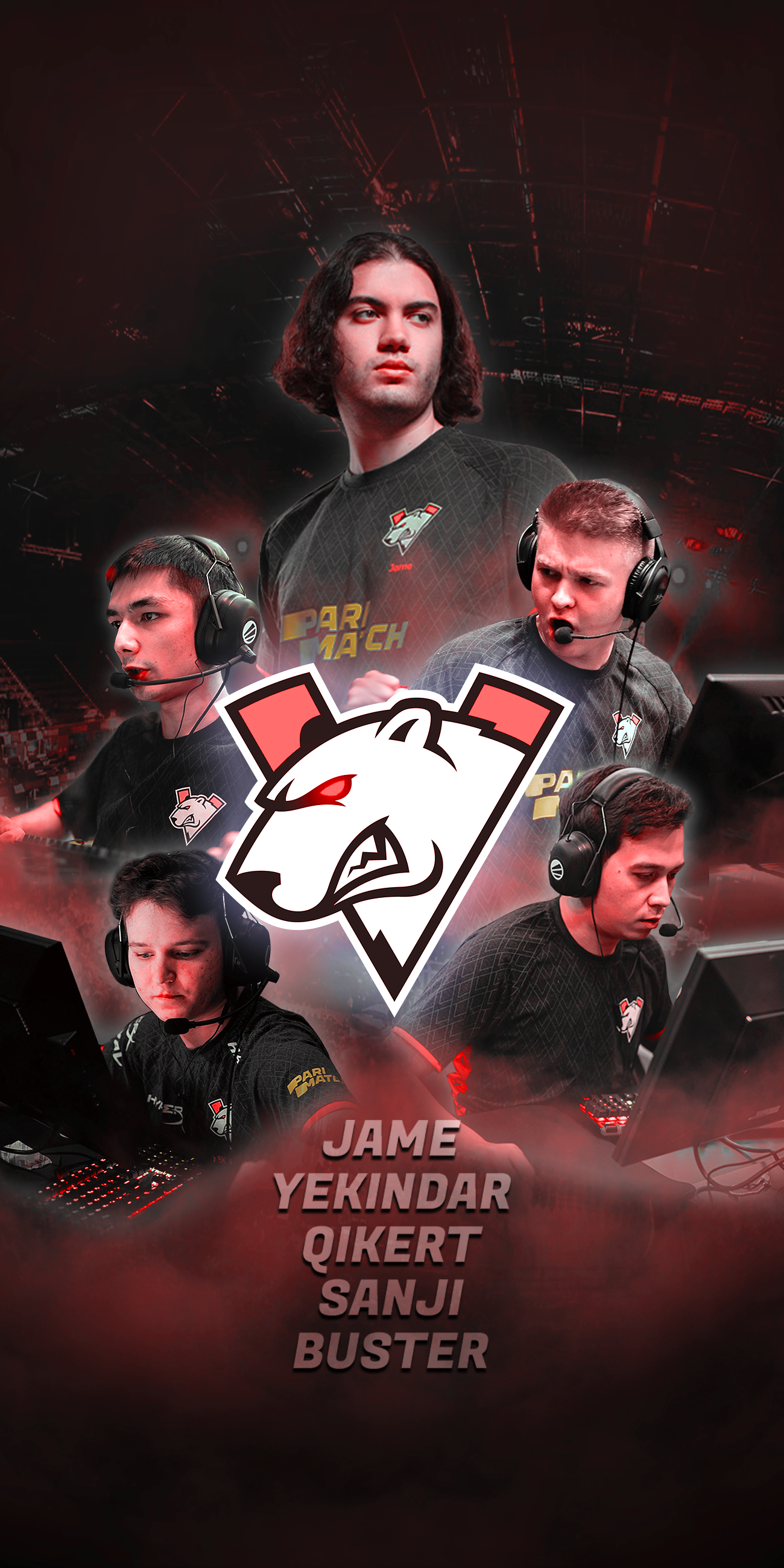 1300x2600  Virtus Pro phone wallpaper I made : r/GlobalOffensive