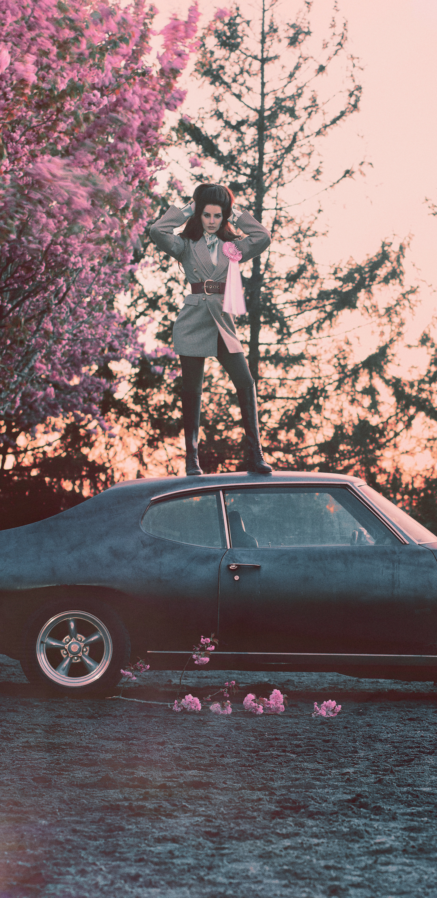 1440x2960  Скачать обои \"Лана Дель Рей\" на телефон в высоком качестве, вертикальные  картинки \"Лана Дель Рей\" бесплатно