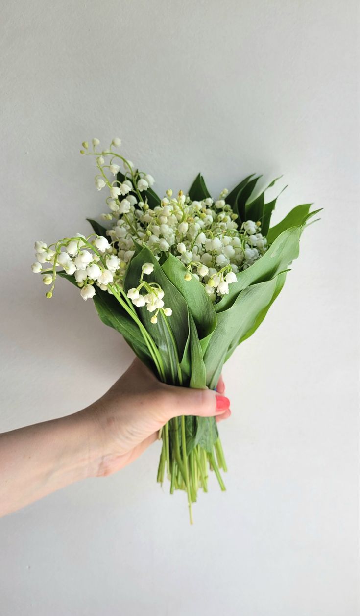 735x1256  Ландыши букет Эстетика в 2023 г | Белые цветы, Эстетика, Букет
