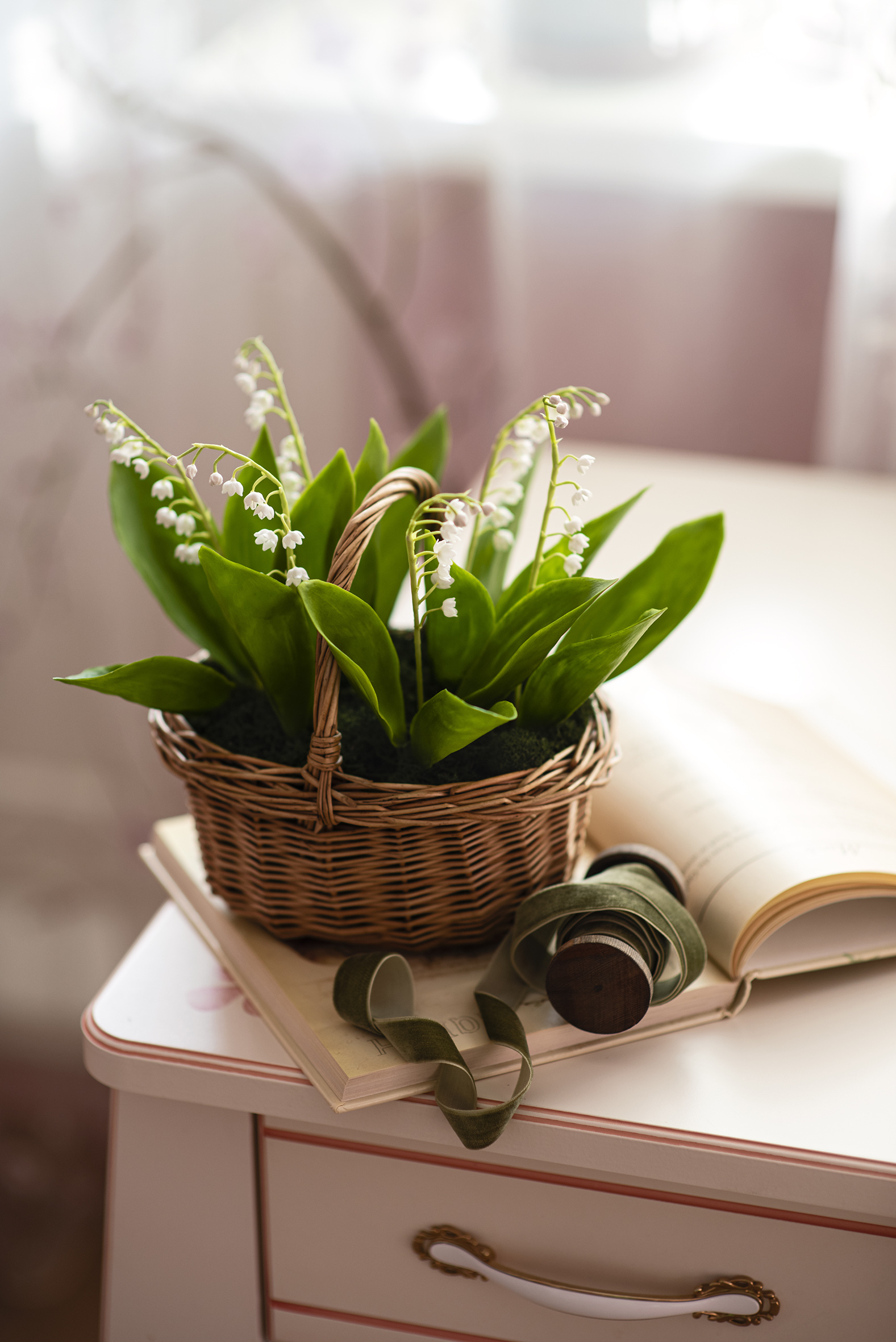 1577x2362  Фото цветок Ландыши Корзина книги