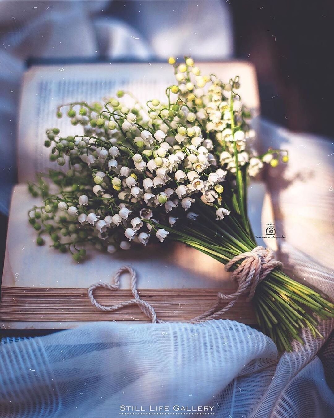 1080x1350  Ландыши цветы картинки красивые - 68 фото