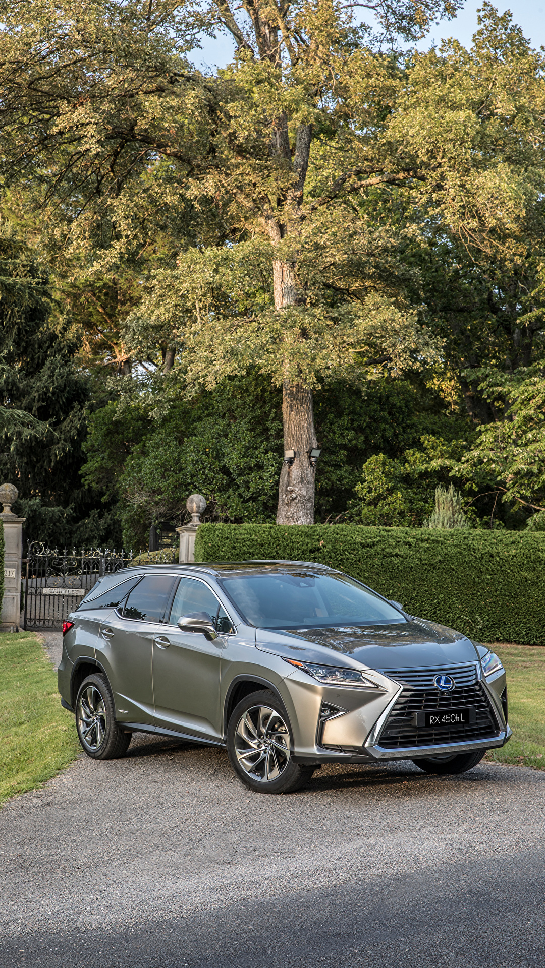 1080x1920  Обои для рабочего стола Лексус 2018 RX 450hL Серый 1080x1920