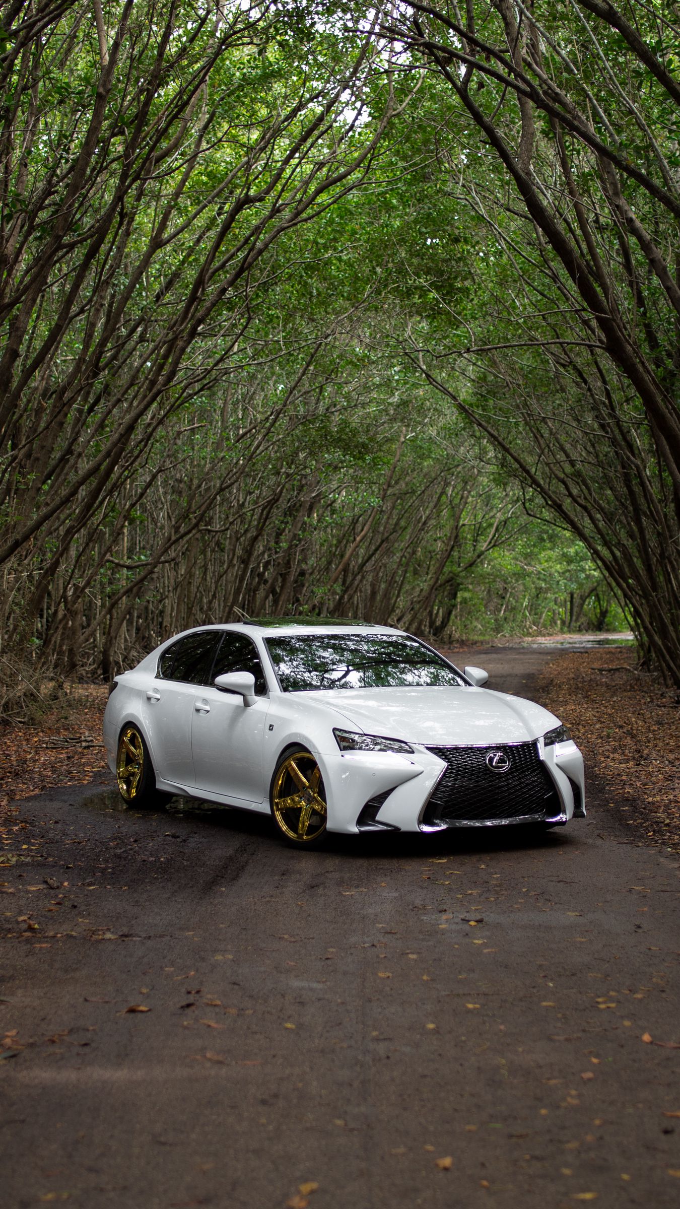 1350x2400  Скачать 1350x2400 lexus gs350, lexus, автомобиль, белый, дорога обои,  картинки iphone 8+/7+/6s+/6+ for parallax