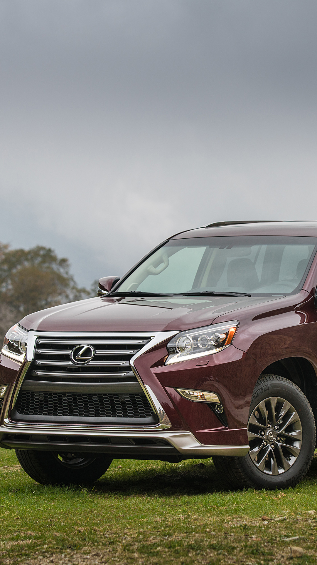 1080x1920  Картинки Lexus 2017 GX 460 Sport Design Package Коричневый 1080x1920