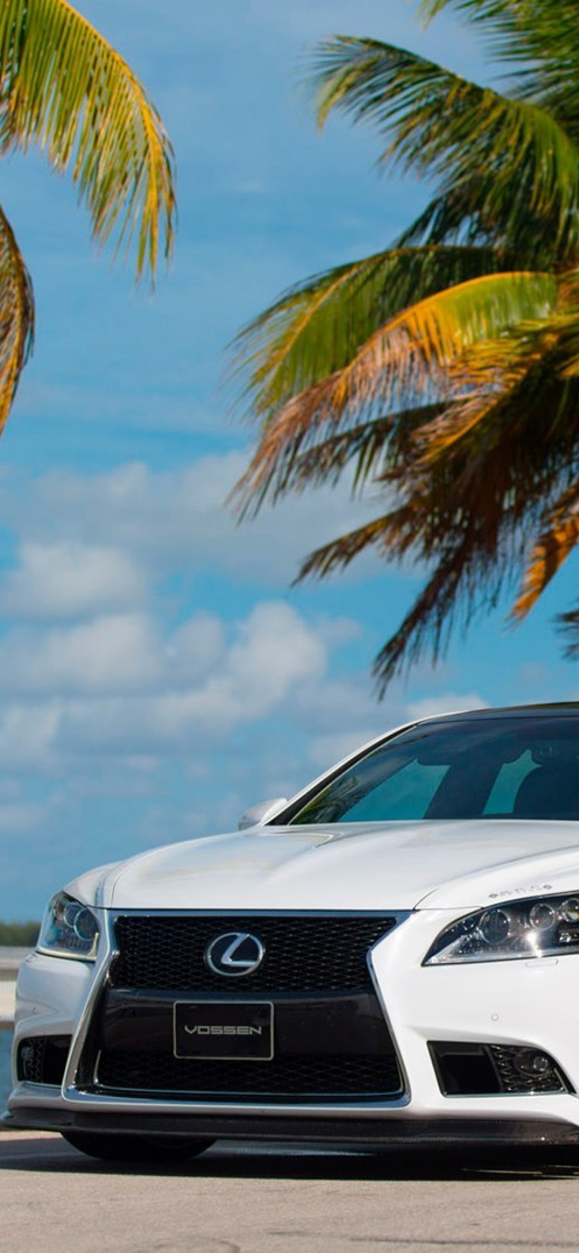 1170x2532  Обои Lexus IS F Sport на телефон iPhone 11 Pro