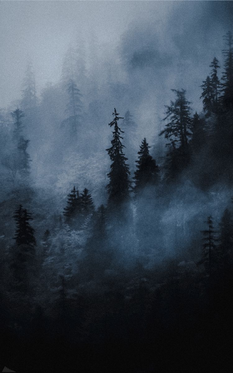 750x1200  Обои \"Туман\" на рабочий стол, скачать бесплатно лучшие картинки Туман на  заставку ПК (компьютера) | mob.org