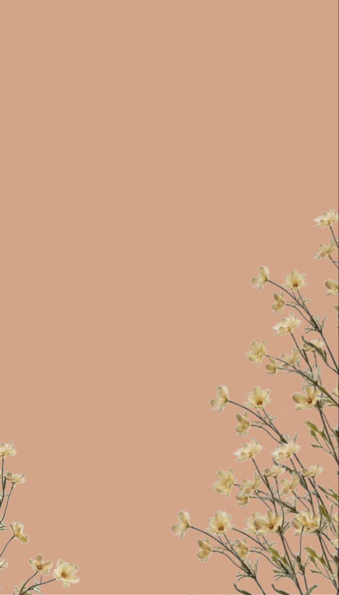 684x1200  Оригинальный милый медведь мобильный телефон обои Фон Обои Изображение для  бесплатной загрузки - Pngtree