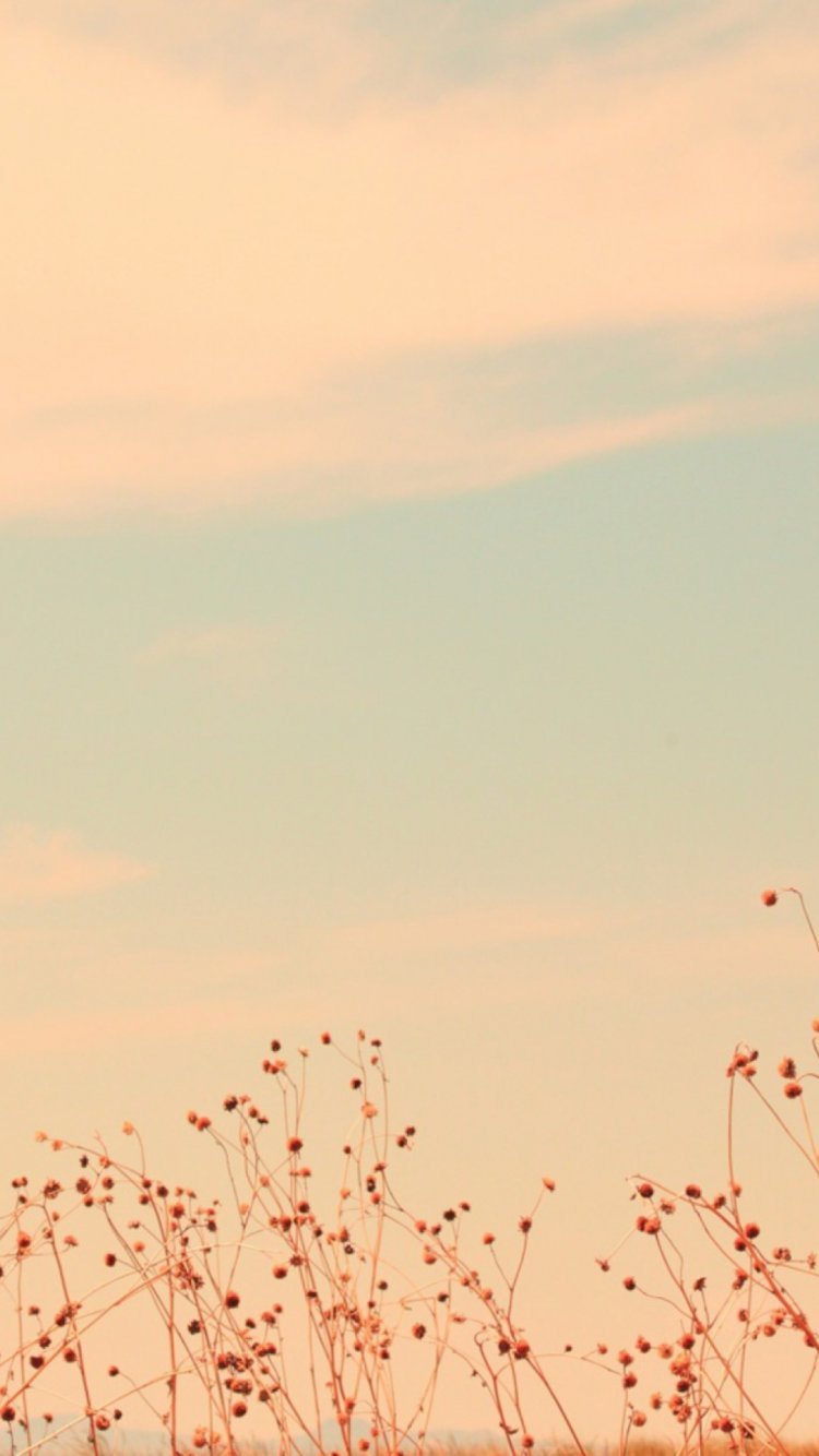 750x1334  Фон , Фон на телефон , Обои ,Шоколад , Сладости , Вкус , Десерты | Food,  Food network recipes, Culinary