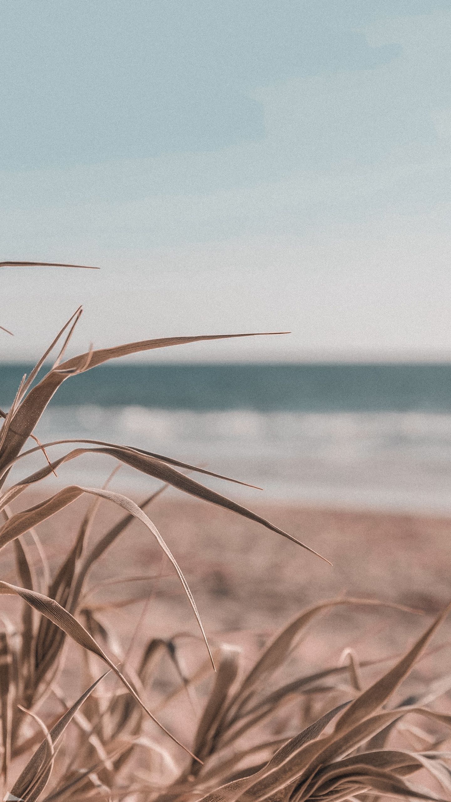 1440x2560  Обои для телефона в HD качестве | Живописные пейзажи, Пейзажи, Фоновые  рисунки