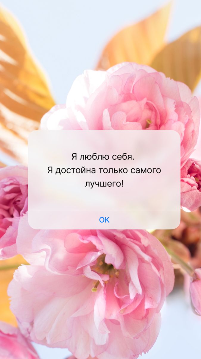 675x1200  Обои на телефон. Мотивация. Аффирмация | Мотивация, Дневные цитаты,  Поддерживающие цитаты