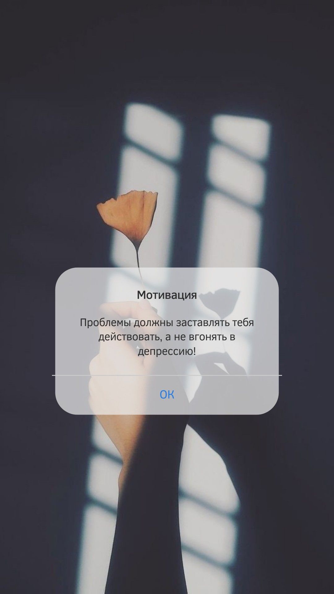 1080x1920  Мотивация | Мотивация, Вдохновляющие высказывания, Мотивирующие цитаты