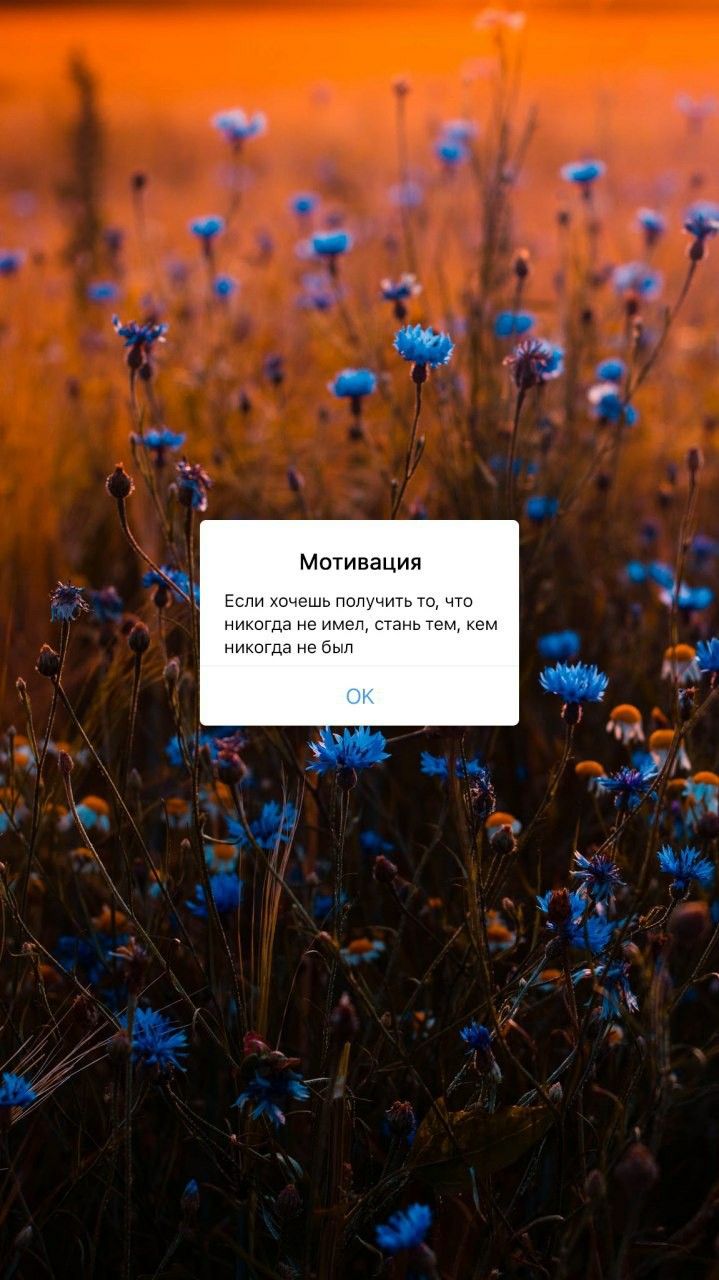 719x1280  Пин от пользователя DARIA на доске Wallpapers | Мотивирующие цитаты,  Мотивация, Вдохновляющие высказывания