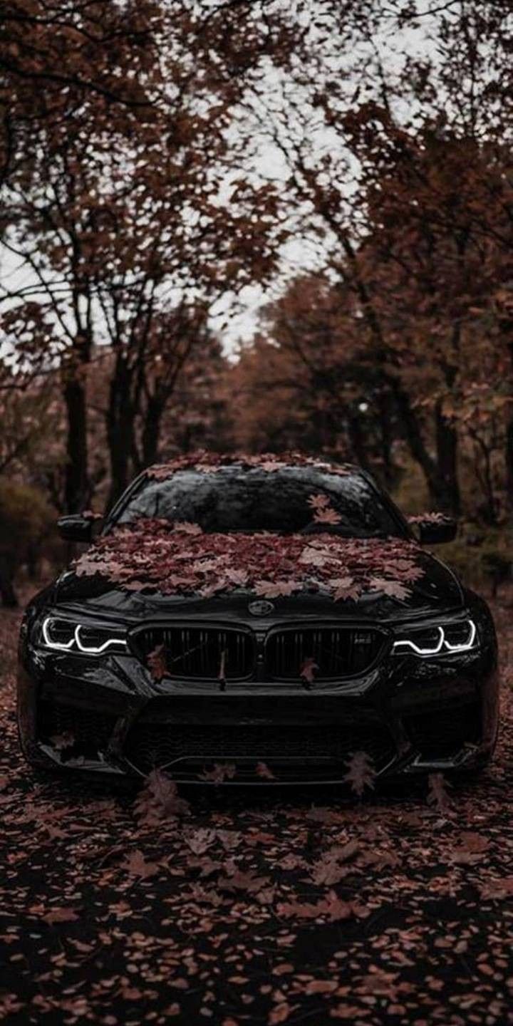 720x1440  Pin by Ната Гулиева on Обои,фоны,рисунки для телефона. | Bmw, Bmw wallpapers,  Bmw iphone wallpaper