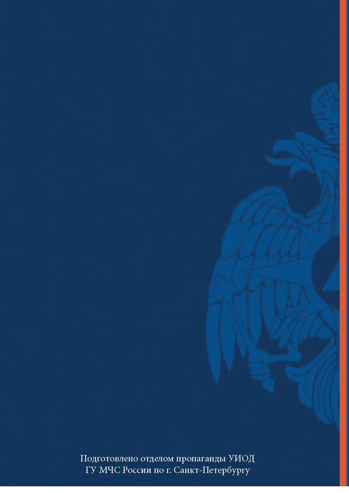 1205x1701  Паспорт безопасности школьника Санкт-Петербурга | Школа № 565