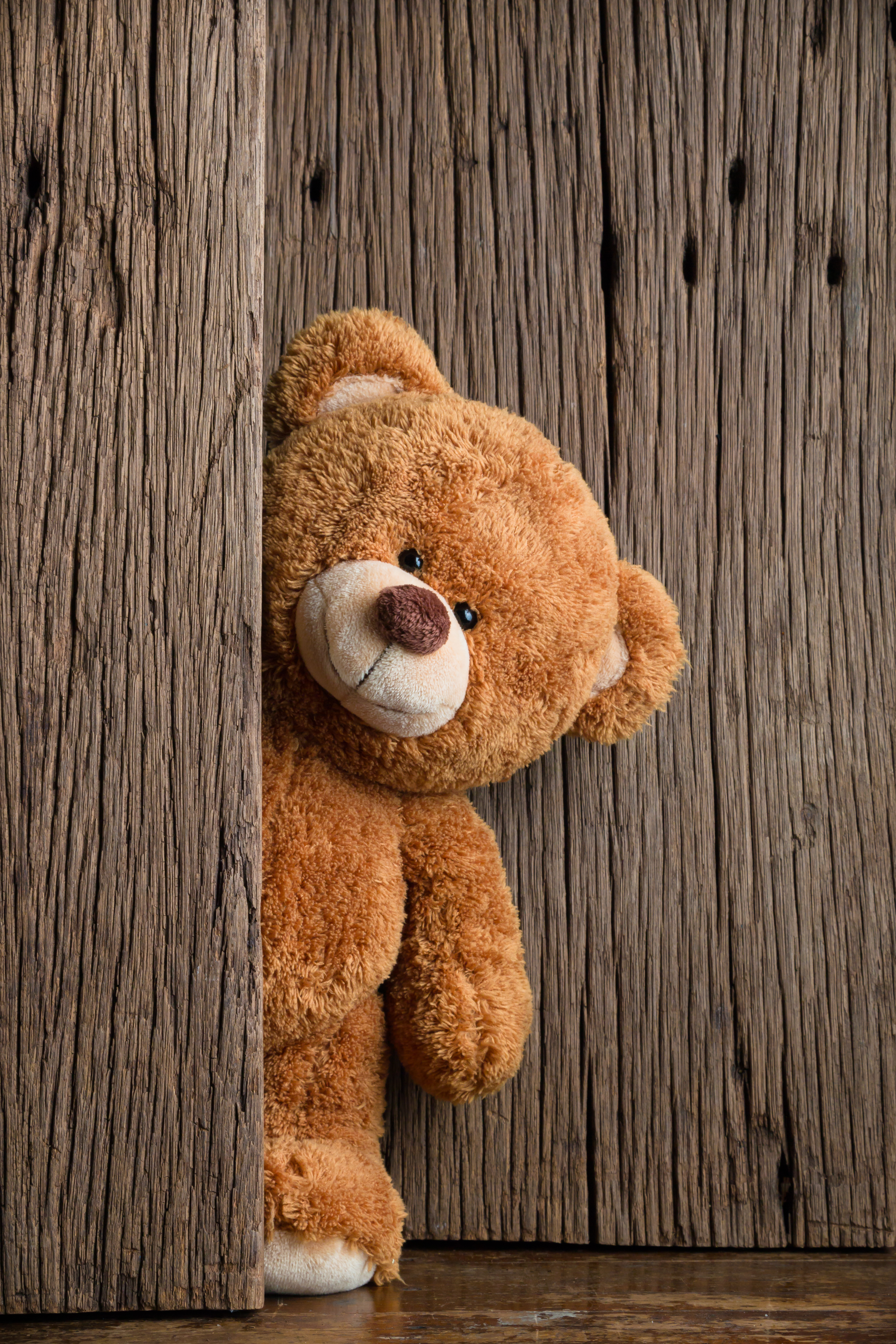 3648x5472  Image Teddy bear Toys boards 3648x5472
