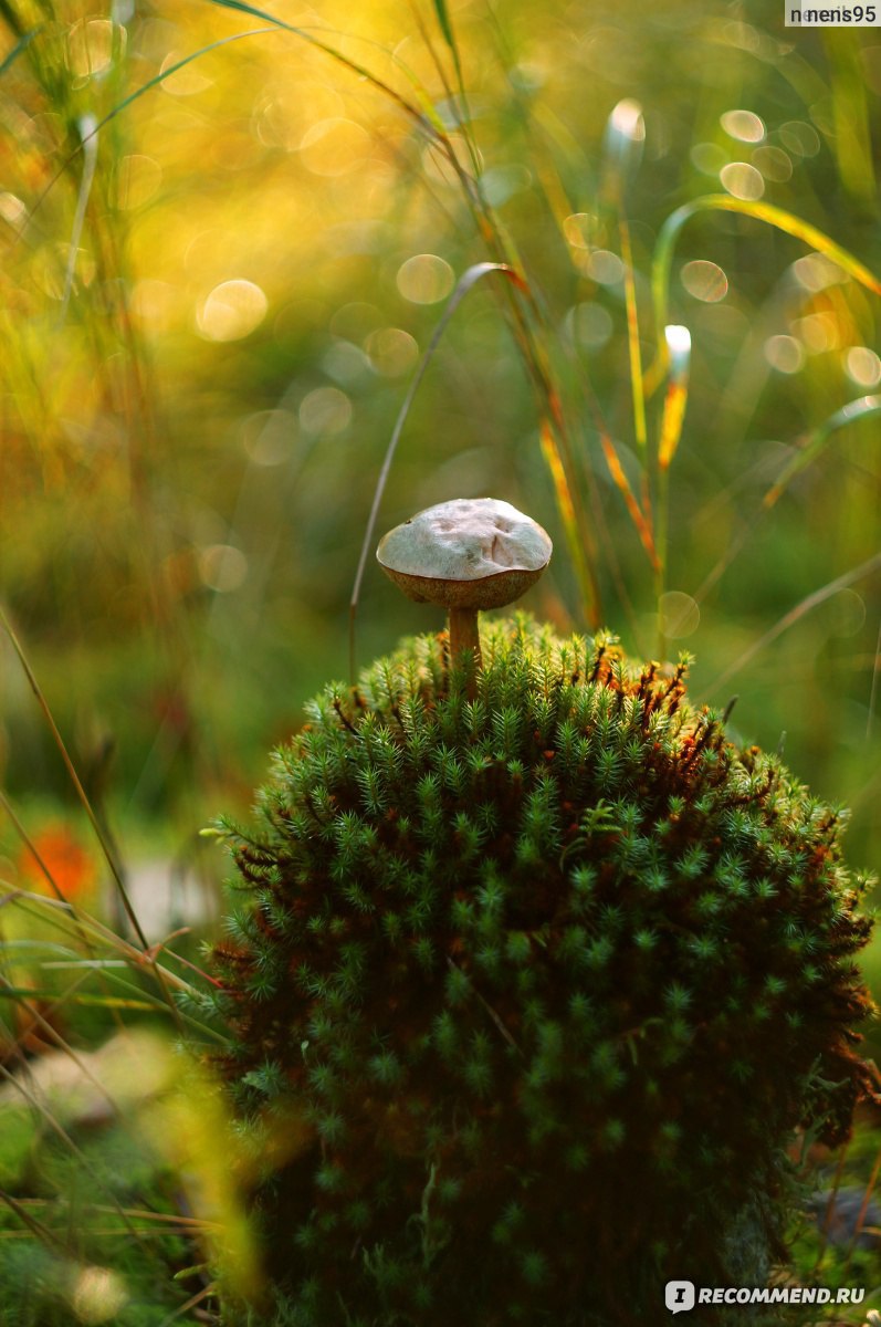 797x1200  Кислотные обои на телефон - фото и картинки abrakadabra.fun