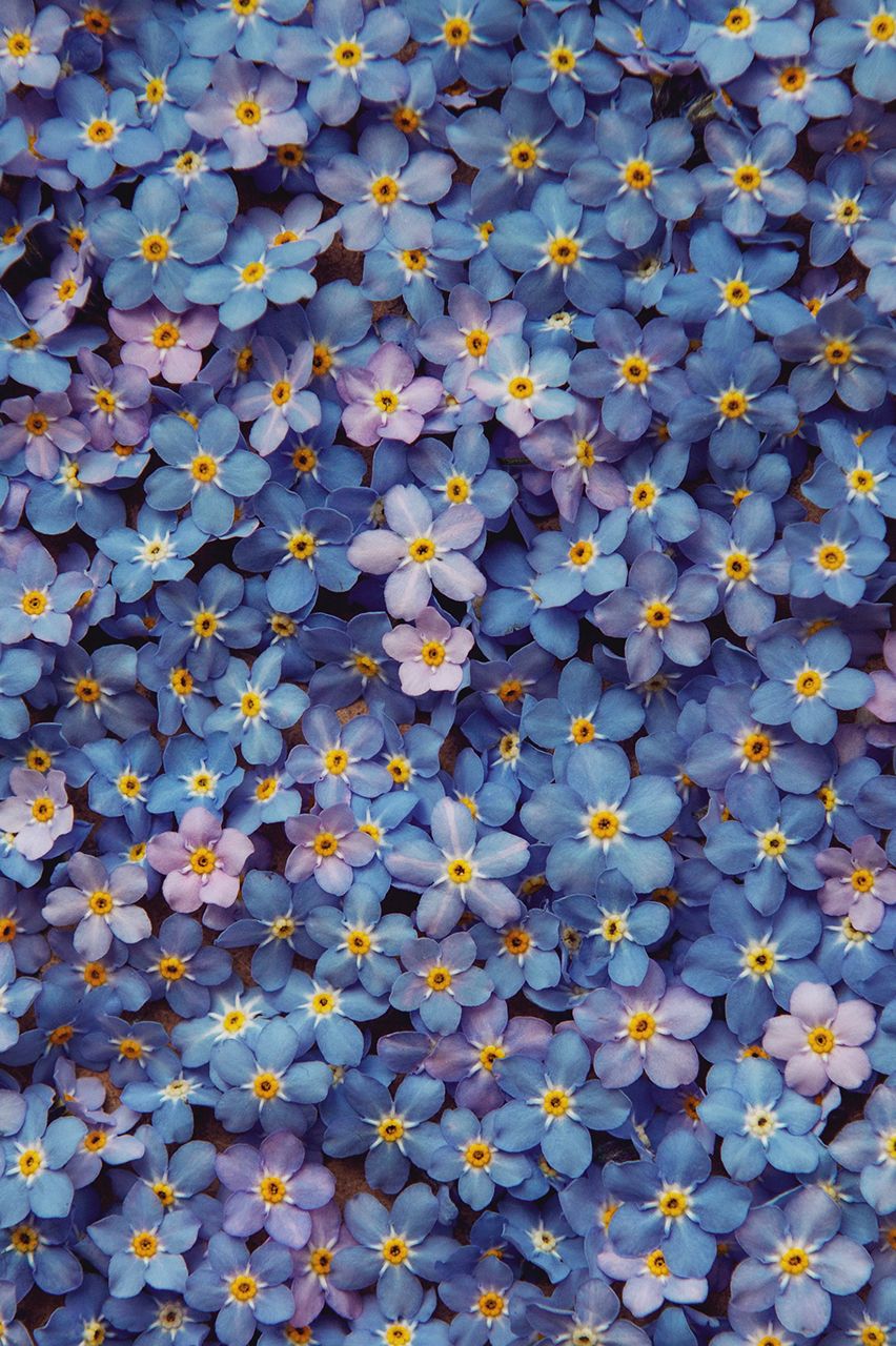 852x1280  Идеи на тему «Wallpaper » (130) в 2023 г | абстрактное, цветочные фоны,  фотографии фонов