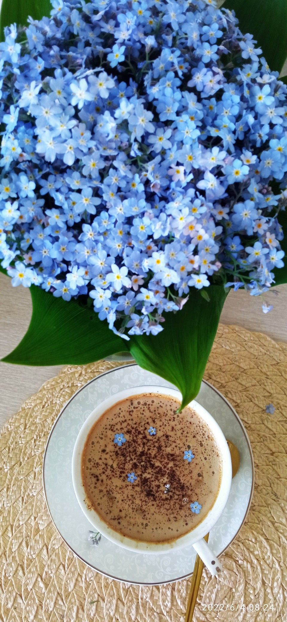 960x2080  Незабудки в 2023 г | Кофе по утрам, По утрам, Кофе