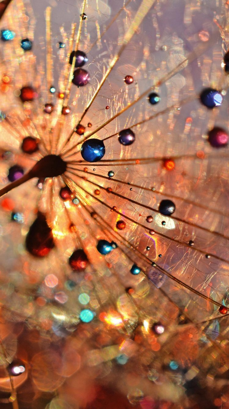 750x1334  Необычные обои для телефона - фото и картинки: 71 штук