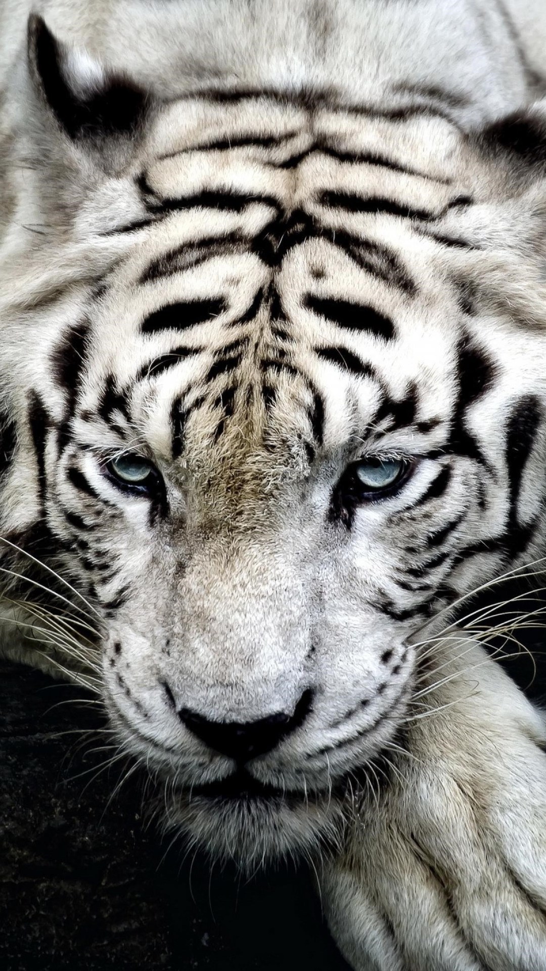 1080x1920  Красивые и необычные обои на телефон (32 шт.) | Zamanilka