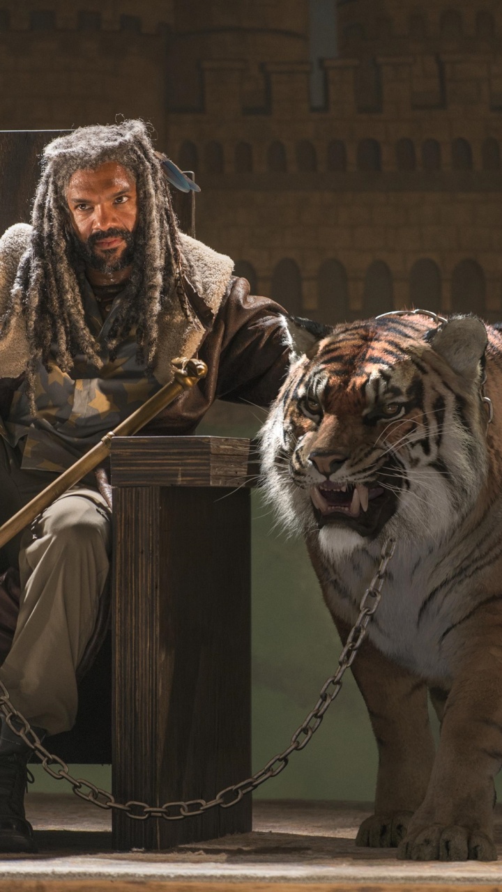 720x1280  Скачать обои \"Дуайт (Ходячие Мертвецы)\" на телефон в высоком качестве,  вертикальные картинки \"Дуайт (Ходячие Мертвецы)\" бесплатно