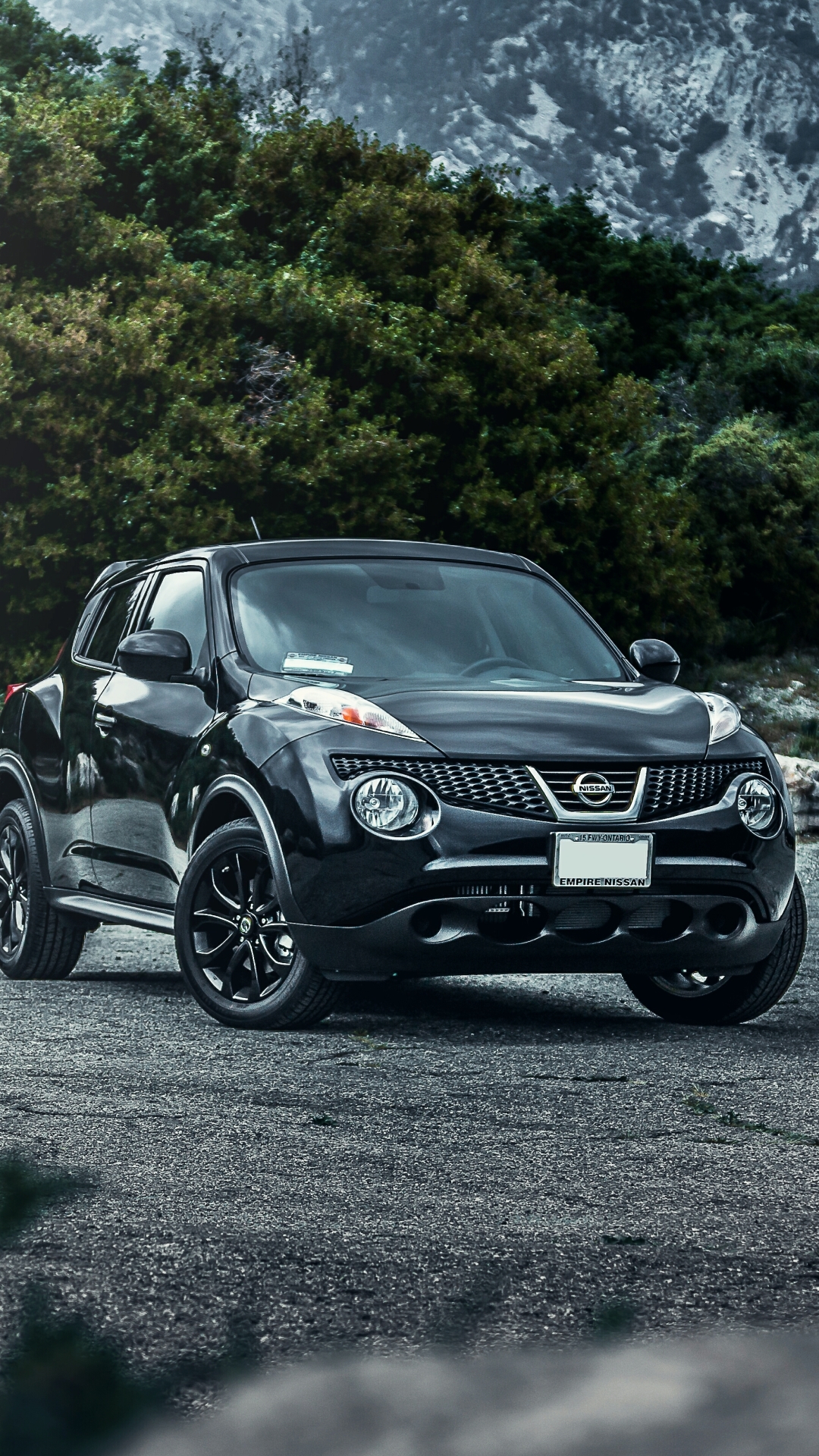 1080x1920  Download \"Nissan Juke\" wallpapers for mobile phone, free \"Nissan Juke\" HD  pictures