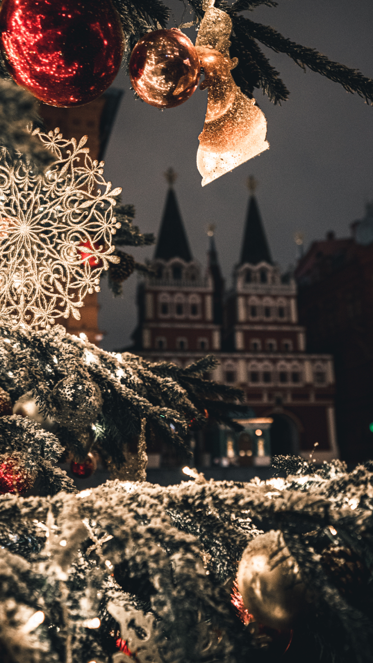 750x1333  Хочу поделиться с вами несколькими фотографиями с новогодней ярмарки в  Москве | Пикабу