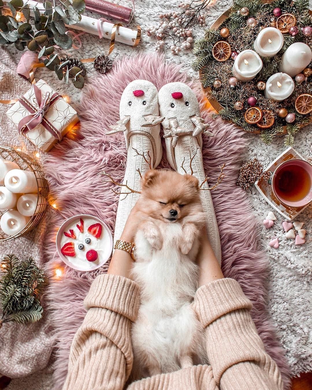 1080x1350  Обои на телефон | Милые котики, Цветные цитаты, Кошачьи фотографии