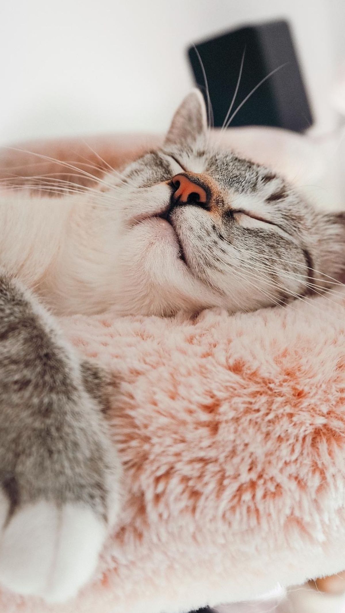 1200x2133  Новогодние картинки на экран телефона - 62 фото