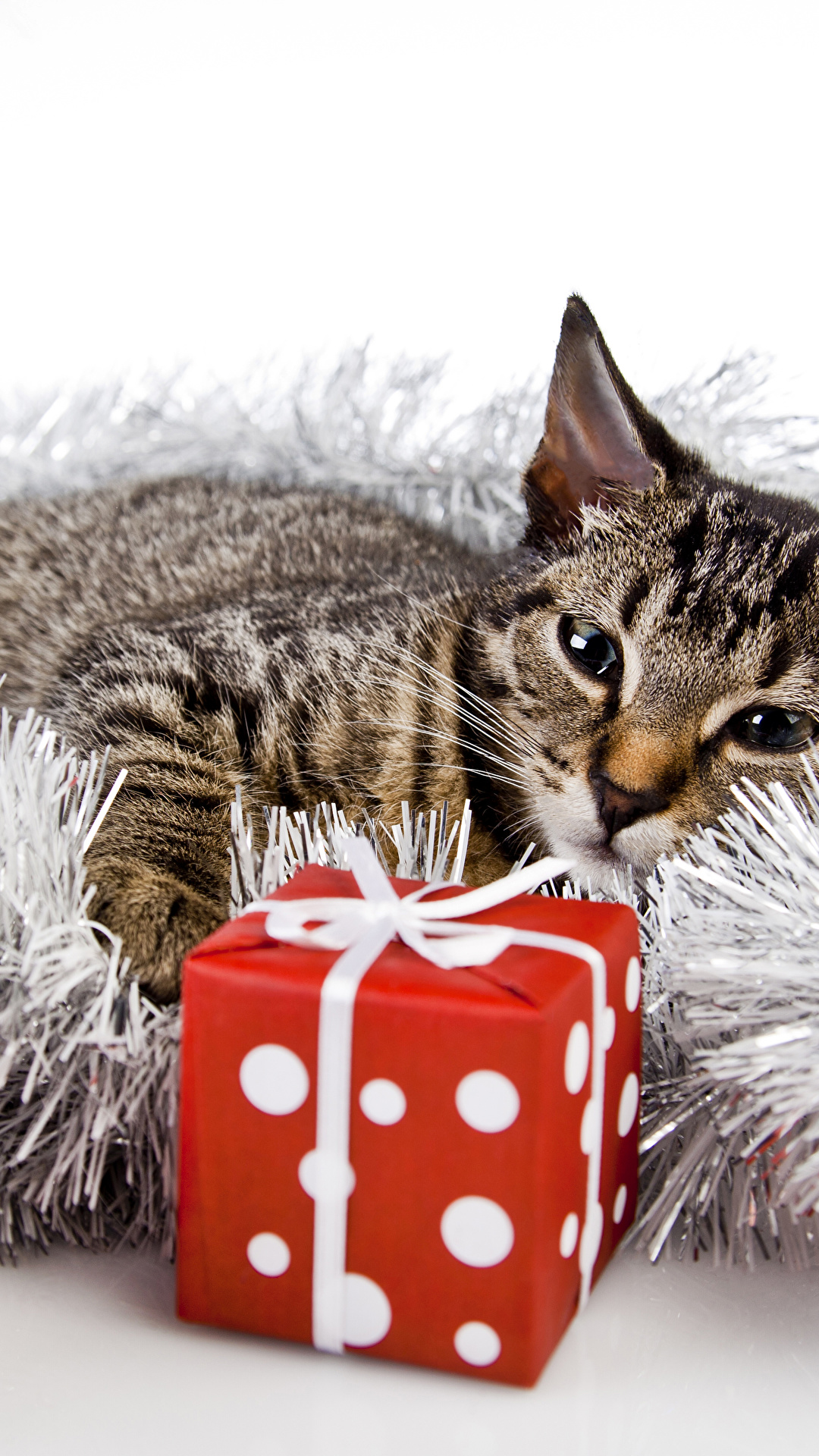 1080x1920  Новогодние картинки на телефон обои - 67 фото