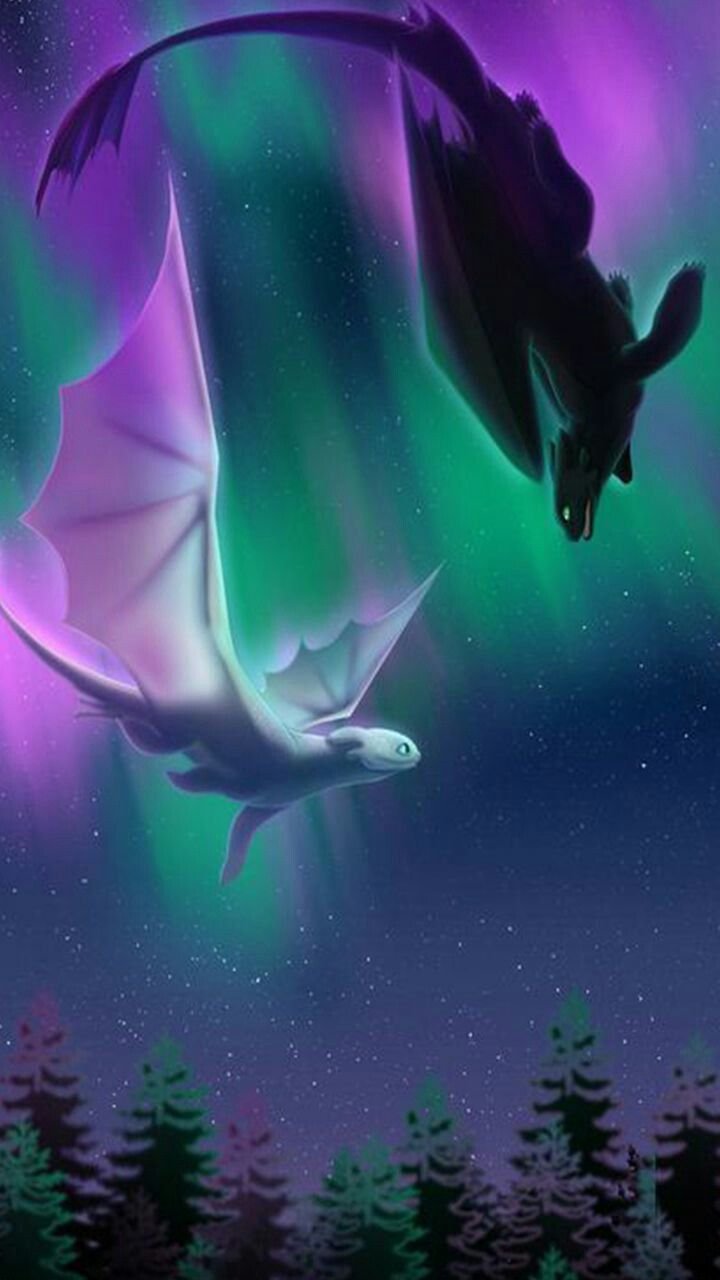 720x1280  Скачать обои и картинки мир, драконы, ночная фурия, дневная фурия, крылья,  полёт, беззубик, иккинг, как приручить дракона 3, скрытый мир, как  приручить дракона 3: скрытый мир для рабочего стола в разрешении 2048x2732