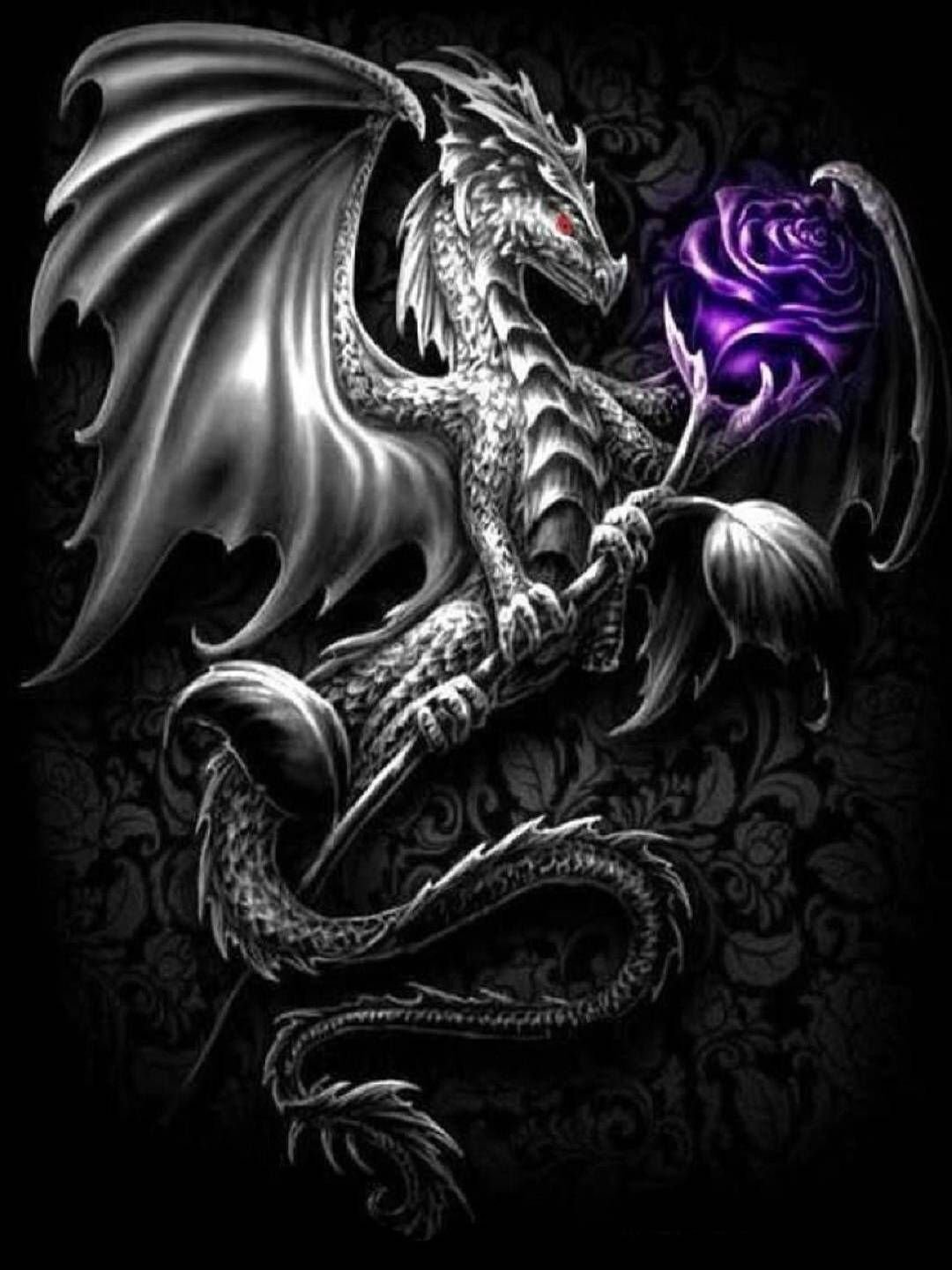 1080x1440  Ночная и дневная фурия картинки - 68 фото