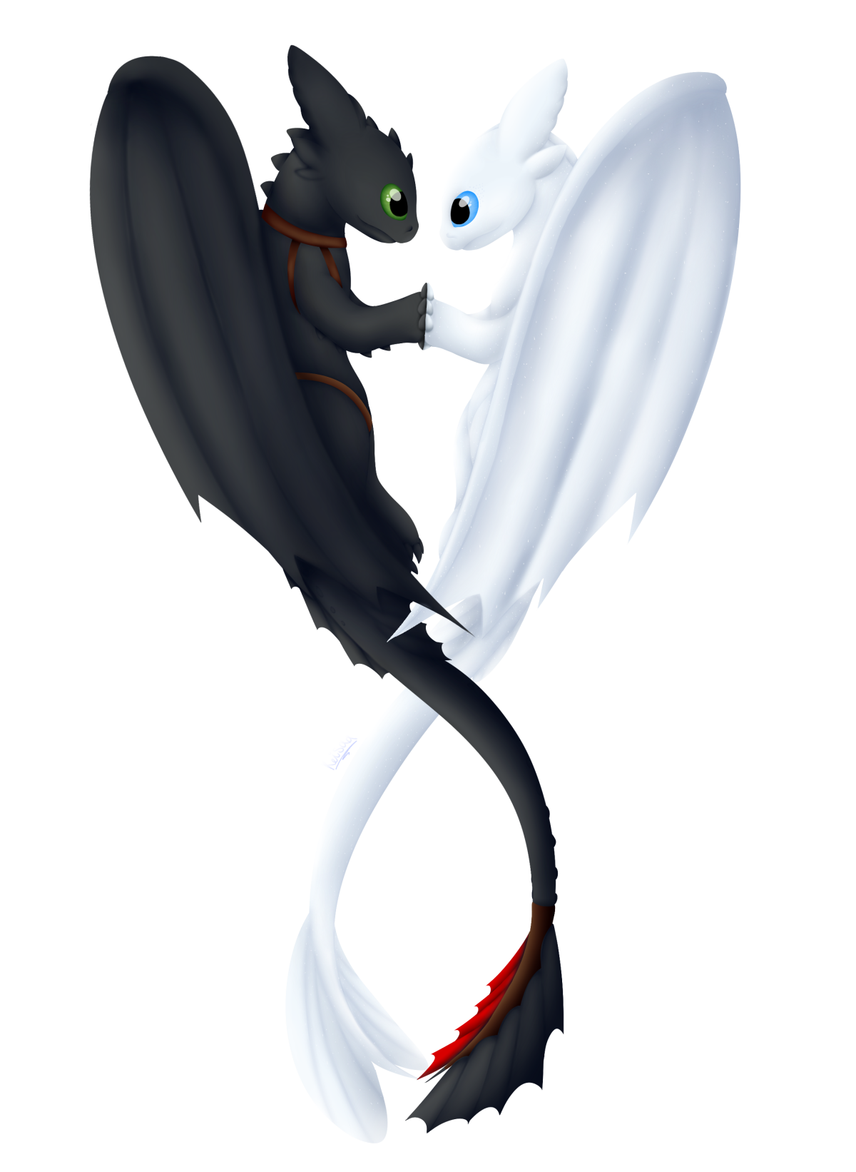 1200x1642  Ночная фурия обои на телефон - 65 фото