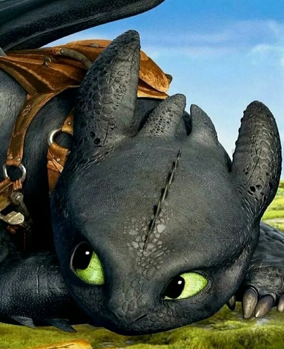 977x1200  Скачать обои и картинки как приручить дракона 3, скрытый мир, how to train  your dragon: the hidden world, ночная фурия, дневная фурия, беззубик,  иккинг, астрид для рабочего стола в разрешении 1536x2048