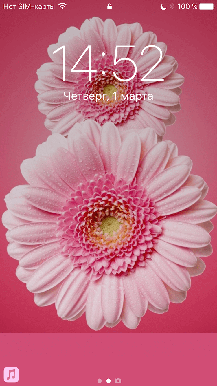 750x1333  Подборка обоев к 8 марта | AppleInsider.ru