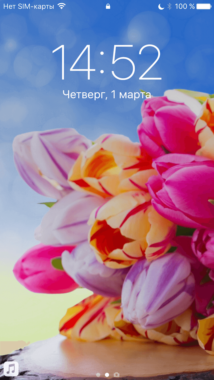 750x1333  Подборка обоев к 8 марта | AppleInsider.ru